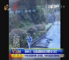 湖南长沙：3游客逃票翻墙进动物园 险入虎口