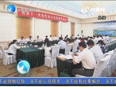 济南代表团分组讨论十届省委工作报告