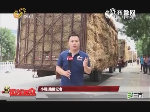 【独家调查】高唐：大货车给泉林纸业送麦秆 违规占道路难行