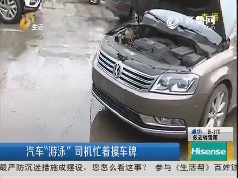 济南：汽车“游泳” 司机忙着摸车牌