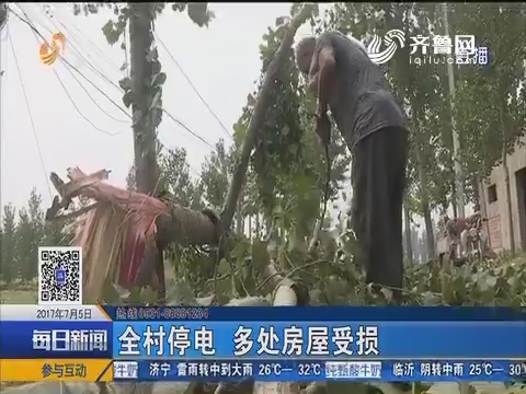 临清：妖风来袭 村里上百颗大树被刮倒