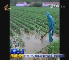 山东：强降雨持续 部分农田受灾严重