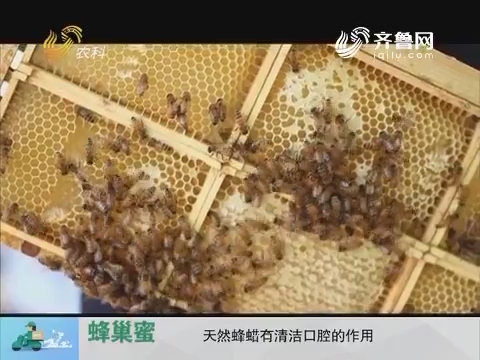 20170719《中国原产递》：蜂巢蜜