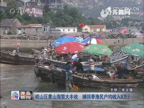 崂山区黄山海蜇大丰收 捕捞季渔民户均收入8万元