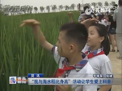 简讯：“我与海水稻比身高”活动让学生爱上科普