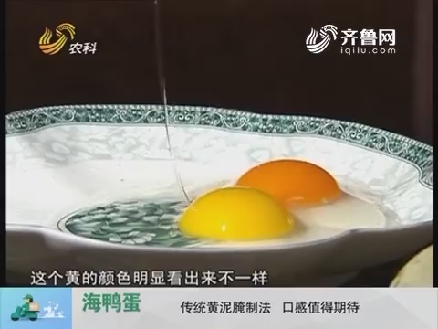 20170805《中国原产递》：海鸭蛋