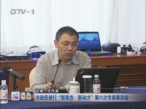 青岛市政府举行“新常态 新动力”第六次专家座谈会