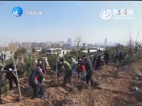 济南市开展全民义务植树活动