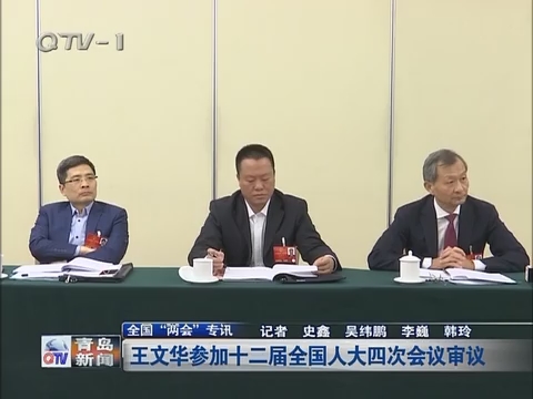 《全国“两会”专讯》王文华参加十二届全国人大四次会议审议