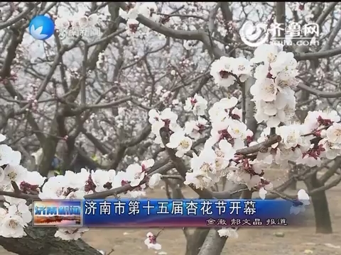 济南市第十五届杏花节开幕