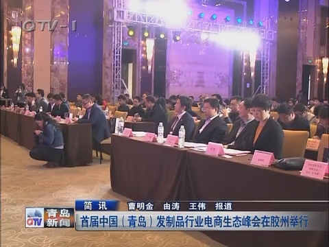 简讯：首届中国（青岛）发制品行业电商生态峰会在胶州举行