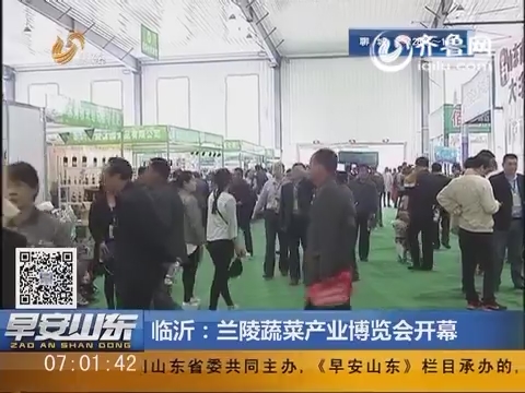 临沂：兰陵蔬菜产业博览会开幕