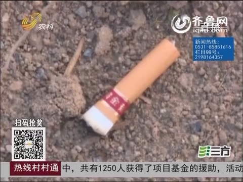  淄博:古墓被盗 一个烟头让摸金校尉归案_热线