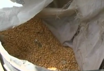 武城：男子半夜偷窃农户粮食 6袋化肥一点玉米