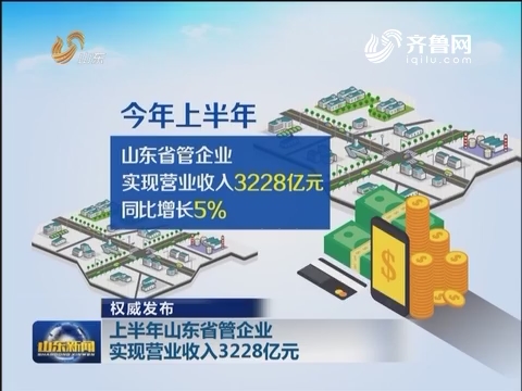 梦想实现_实现营业收入(2)