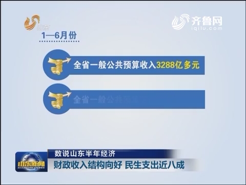 财政收入_山东财政收入