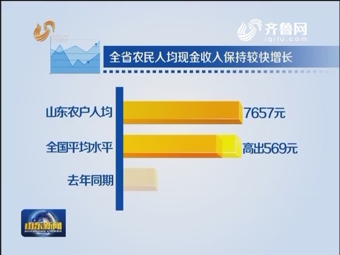 收入证明_农民收入的增加(2)