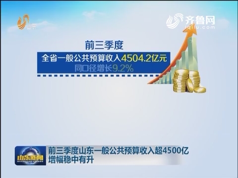 财务预算_一般预算收入中(3)