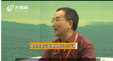 第四届中国茶叶博览会专访福鼎市茶业管理局局长王千潮