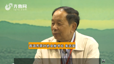 专访普洱市茶叶协会秘书长朱志安