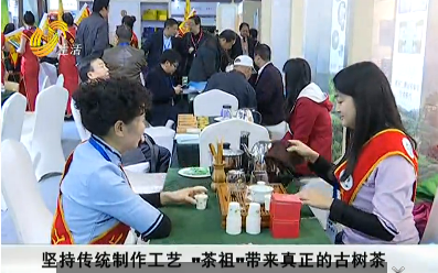第四届中国茶叶博览会“茶祖”带来真正古树茶