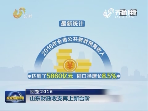 财政收入_山东财政收入(2)
