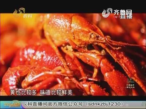 盱眙人口2017_盱眙龙虾(3)