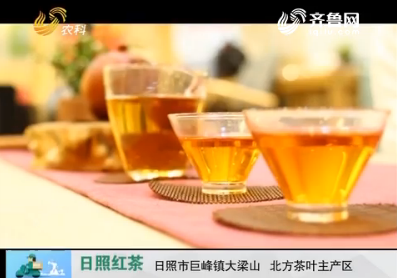 20170717《中国原产递》：日照红茶