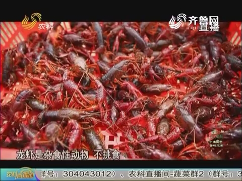 盱眙人口2017_盱眙龙虾(3)