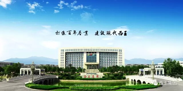 西王集团荣登2016年度山东省100强企业名单