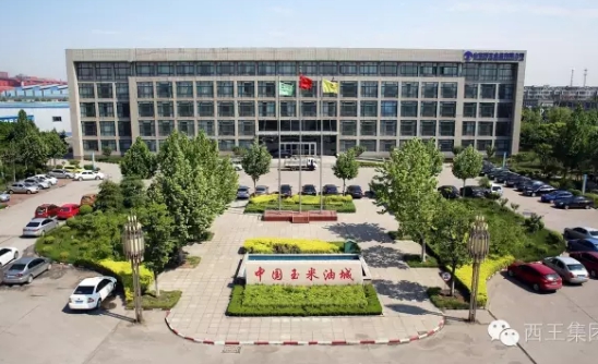 西王食品公司加快新旧动能转换 提升发展质量