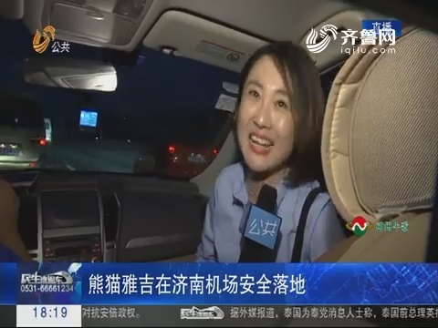 熊猫雅吉在济南机场安全落地