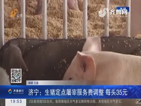 【直通17市】济宁：生猪定点屠宰服务费调整 每头35元