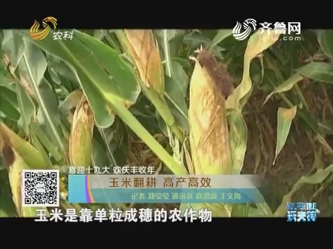 【喜迎十九大 欢庆丰收年】玉米翻耕 高产高效