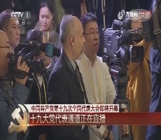党代表通道 | 党代表王恩东接受采访