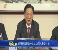 刘伟参加党的十九大山东代表团讨论