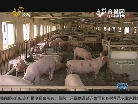 十万头猪零排放