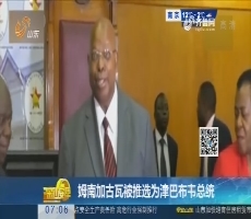【热点快搜】姆南加古瓦被推选为津巴布韦总统