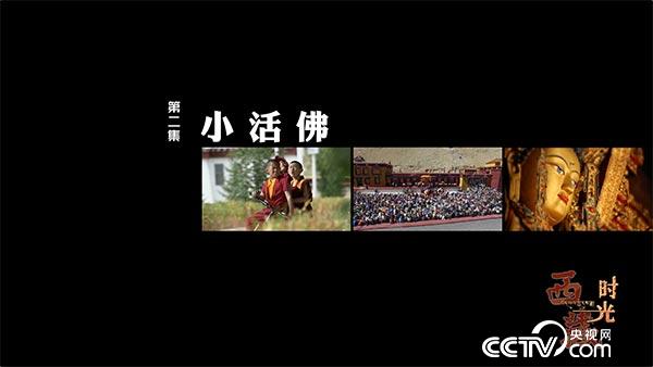 《西藏时光》第二集《小活佛》预告片