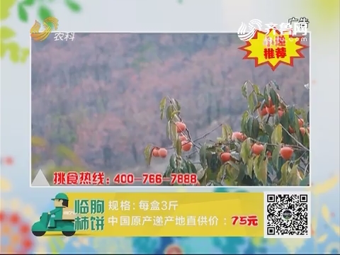 20171219《中国原产递》：临朐柿饼