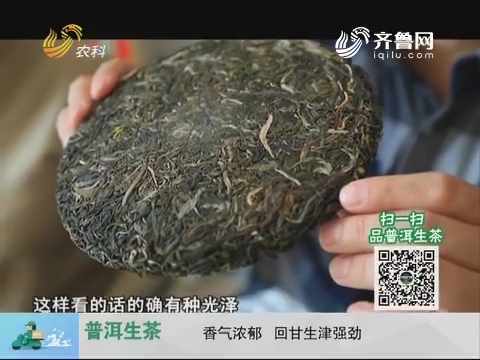20171224《中国原产递》：普洱生茶