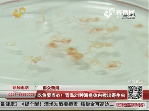 【群众新闻】吃鱼要当心！青岛21种海鱼体内检出寄生虫