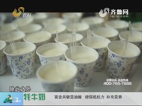 20180102《中国原产递》：牦牛奶