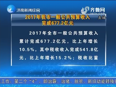 财务预算_一般公共预算收入(3)