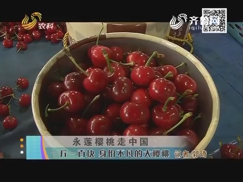 永莲樱桃走中国 一斤一百块 身价不凡的大樱桃