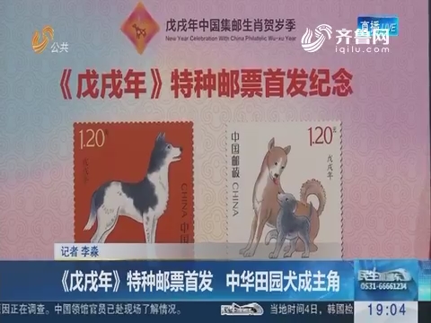 《戊戌年》特种邮票首发 中华田园犬成主角