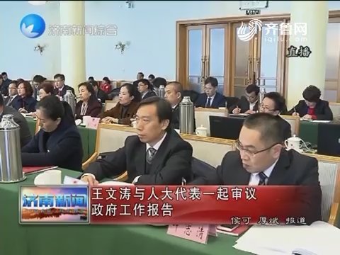 王文涛与人大代表一起审议政府工作报告