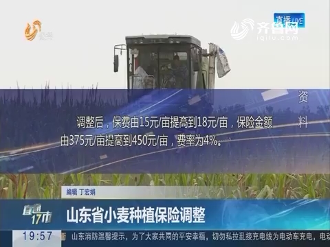 【直通17市】山东省小麦种植保险调整