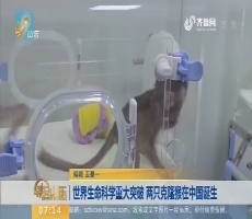 闪电新闻排行榜：世界生命科学重大突破 两只克隆猴在中国诞生
