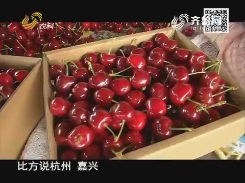 永莲樱桃走中国：好樱桃分级卖 探访天水高端樱桃